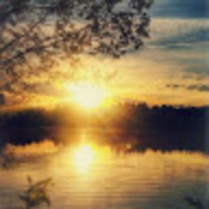 Meet your Posher, Timmy